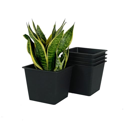 big black pots for plants 5" Square Nursery Plant Pot Garden Plastic Pots With Drainage 5 Pack Black Plastic