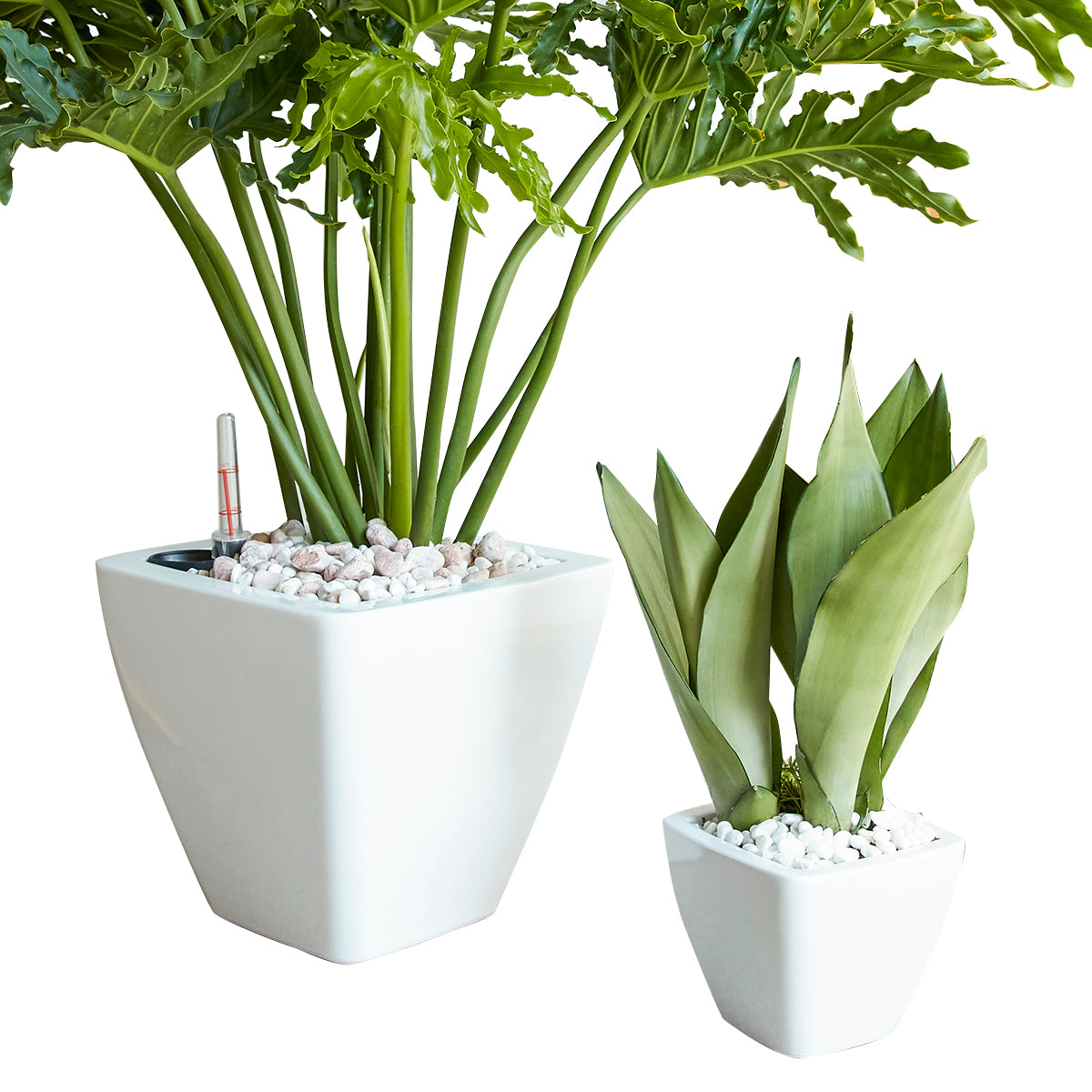 self watering white planter 2 Pack Smart Self Watering Planter Pot For Indoor And Outdoor White Square Cone White Abs