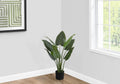 Artificial Plant, 37