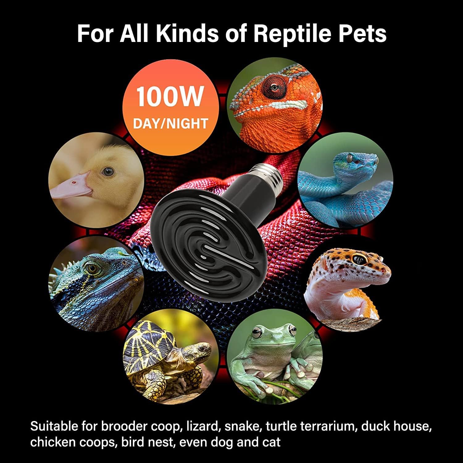 Reptile Heat Lamp 100W 2 Pack Ceramic Heat Emitter, No Light Emitting Heat Bulbs For Amphibian Pet Brooder Coop Incubating Chicken, Lizard Bearded Dragon Turtle Snake Terrarium Black Black Ceramic
