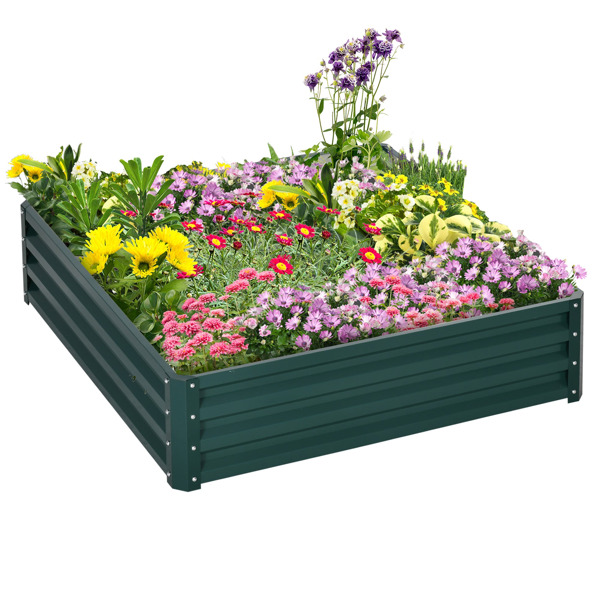 raised garden bed with succulents Outsunny Galvanized Raised Garden Bed, 4' X 4' X 1' Metal Planter Box,