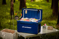 40Qt Navy Blue Insulated Box Navy Blue Polyethylene