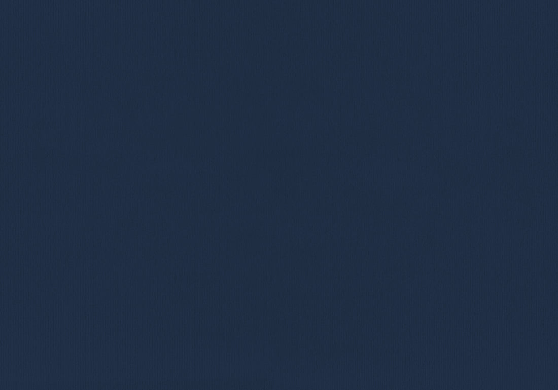 Bed, Twin Size, Upholstered, Bedroom, Frame Only, Youth, Teen, Juvenile, Blue Velvet, Transitional Navy Blue Foam Velvet