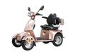 Fastest Mobility Scooter With Four Wheels For Adults & Seniors Rose Abs Pc