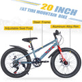 20 Inch Kids Bicyclesfat Tire Mountain Bike For Boys And Girls Age 5 Years ,Dual Disc Brake,Shimano 7 Speed ,Kids Beach And Snow Bicycle Grey Steel