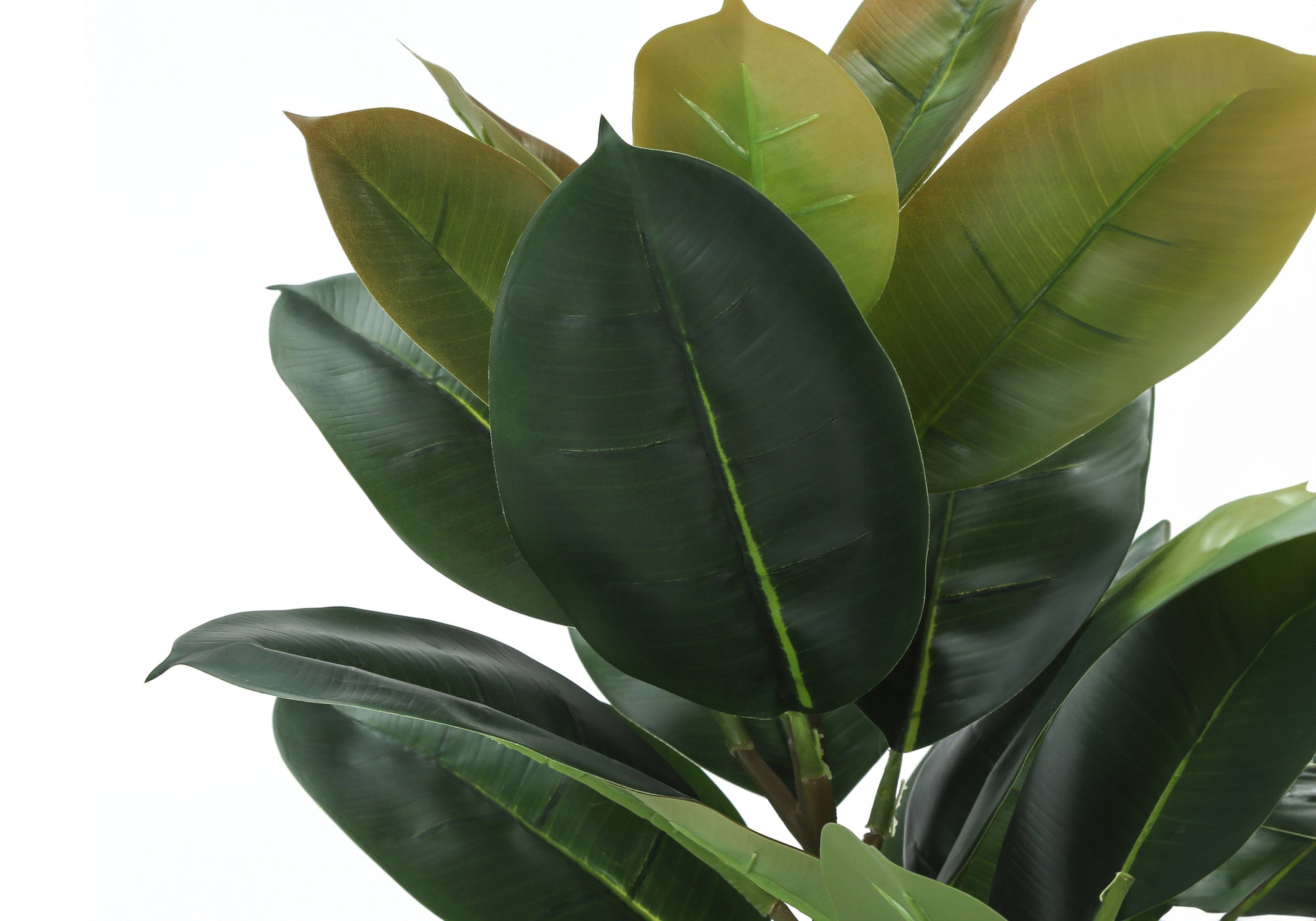 Artificial Plant, 40" Tall, Rubber Tree, Indoor, Faux, Fake, Floor, Greenery, Potted, Real Touch, Decorative, Green Leaves, Black Pot Green Plastic