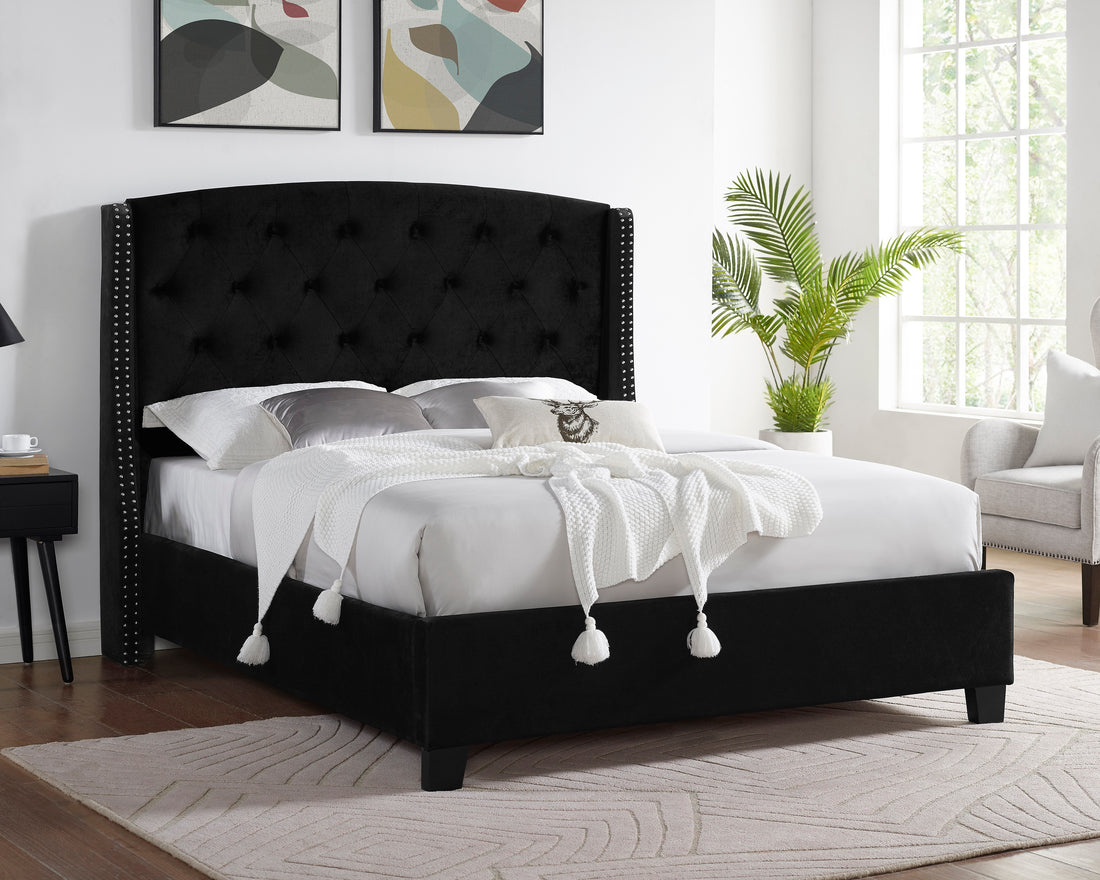 Summit Wingback Tufted Upholstered Bed With Nailhead, Queen Size, Black Box Spring Required Queen Black Wood Bedroom Contemporary Bed Frame Velvet Velvet Engineered Wood