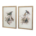 S 2 Bird Framed Print, 19.5X27.5