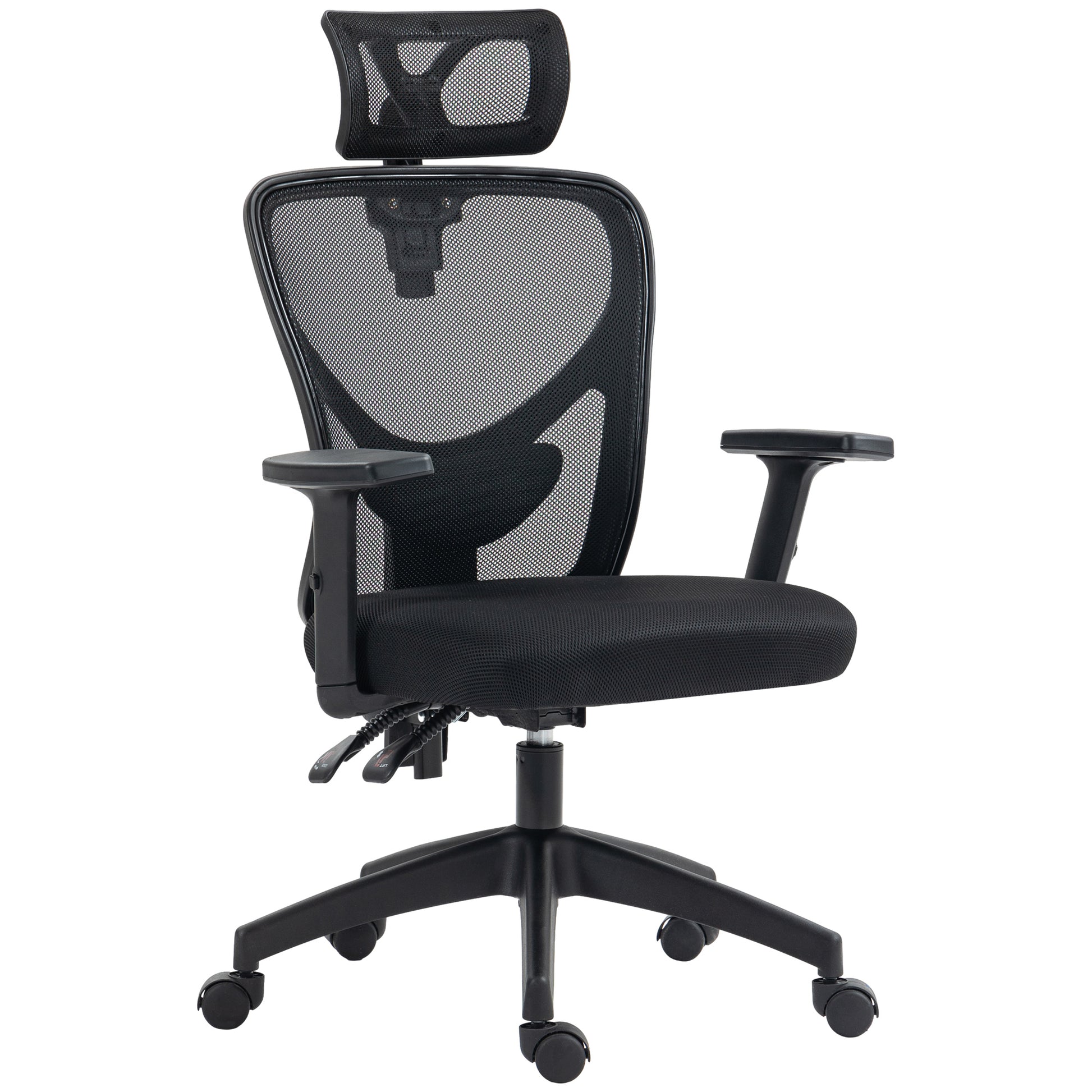 Vinsetto High Back Ergonomic Computer Home Office Chair, Mesh Task Chair With Lumbar Back Support, Reclining Function, Adjustable Headrest, Arms And Height, Black Black Polyester