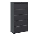 5 Drawer Metal Lateral File Cabinetblack Filing -