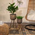 S 2 Bamboo Planters On Stands Black Brown Bamboo