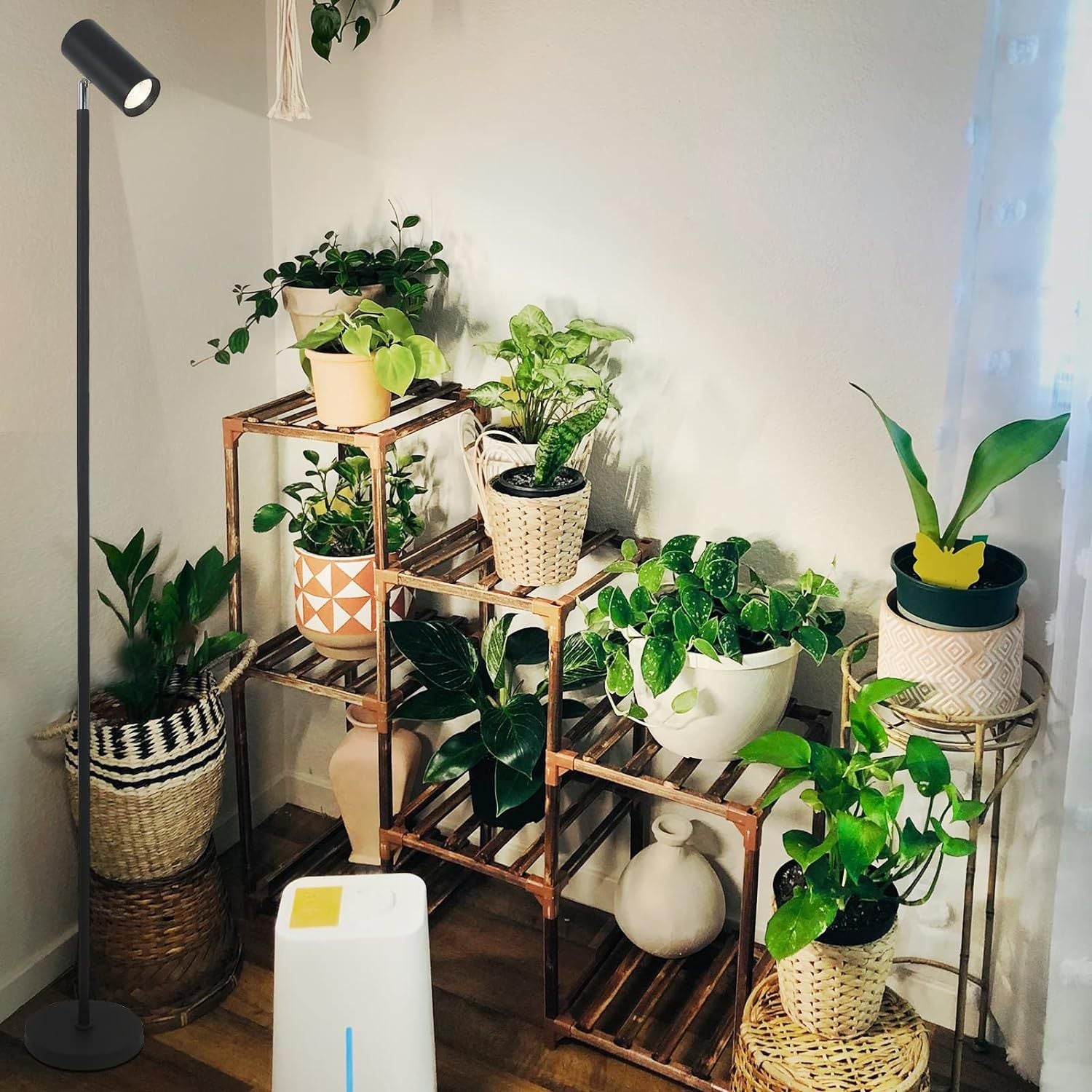 lamp for grow light bulb Grow Lights Stand For Indoor Plants Full Spectrum Tall Plant Light For Indoor Growing With 20W Cob Plant Light Bulb,4 8 12H Timer, Led Growth Floor