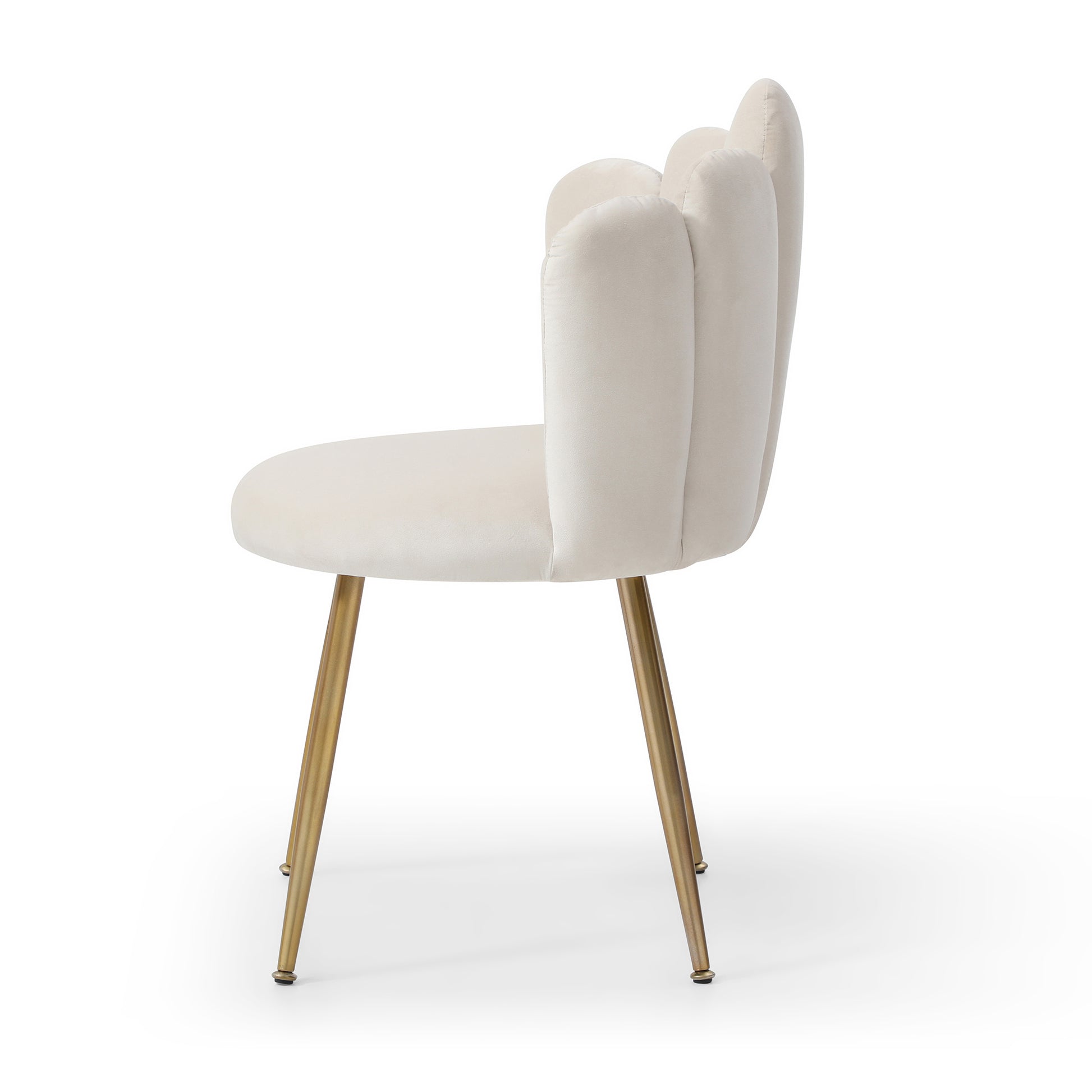 Modern Velvet Dining Chairs Set Of 2, Upholstered Woven Dining Chair With Golden Metal Legs, Upholstered Dining Chairs For Dining Room, Kitchen, Vanity, Living Room Beige Primary Living Space Foam Velvet