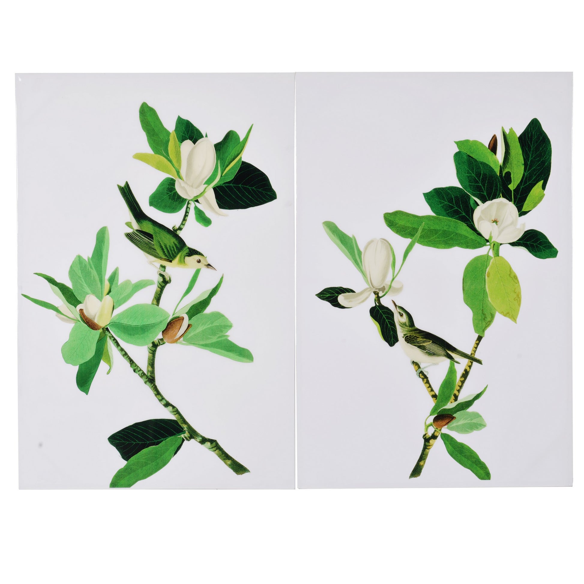 Magnolia Blooms Wall Art On Wooden Base, Multicolor, Set Of 2 White Green Wood