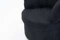 029 Teddy Fabric Swivel And Storage Chair With Back Cushion For Living Room,Black Black Primary Living Space Modern Foam Teddy