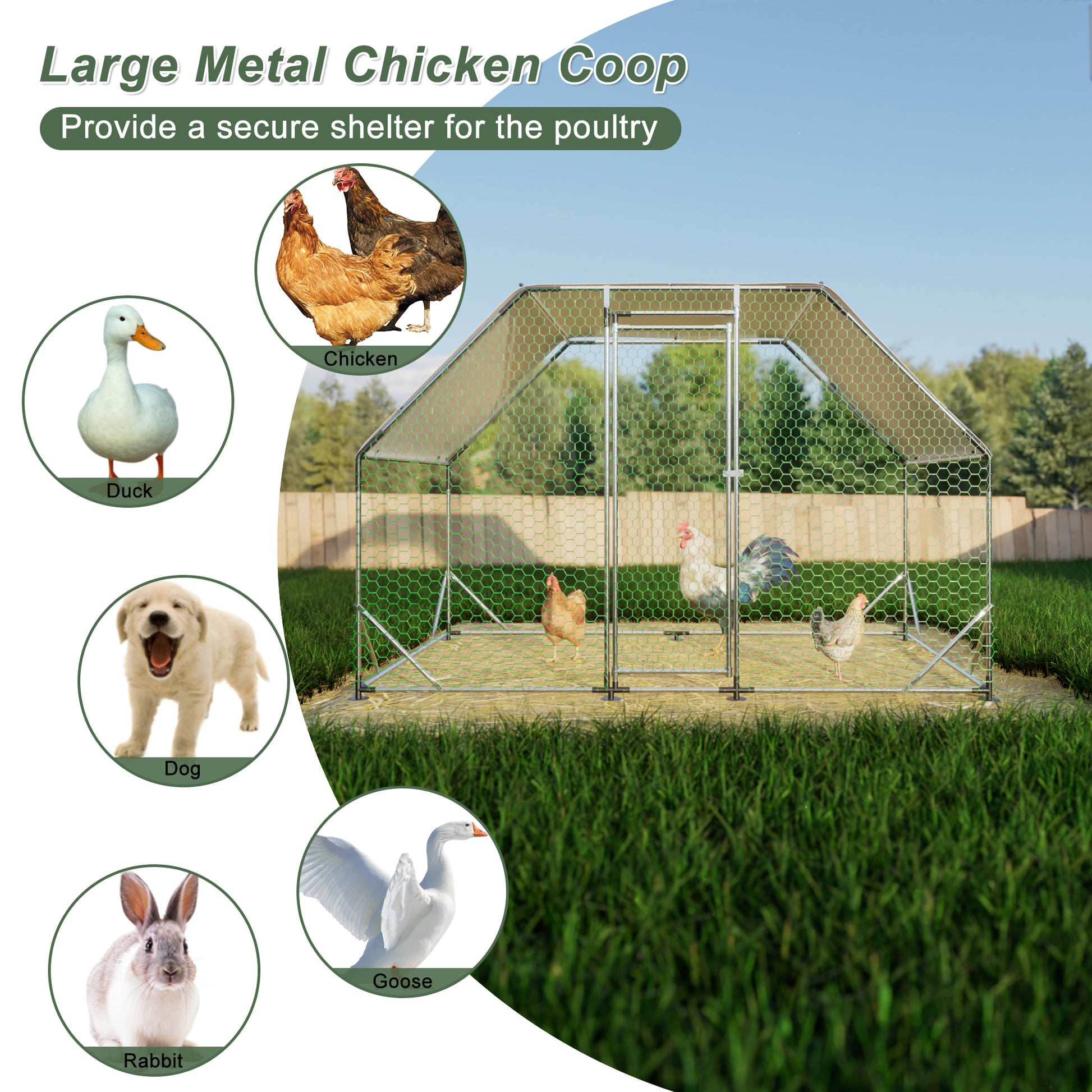 9.94 Ft. X 6.46 Ft. X 6.36 Ft. Metal Large Chicken Coop Walk In Poultry Cage Run Flat Shaped With Waterproof Cover Silver Metal