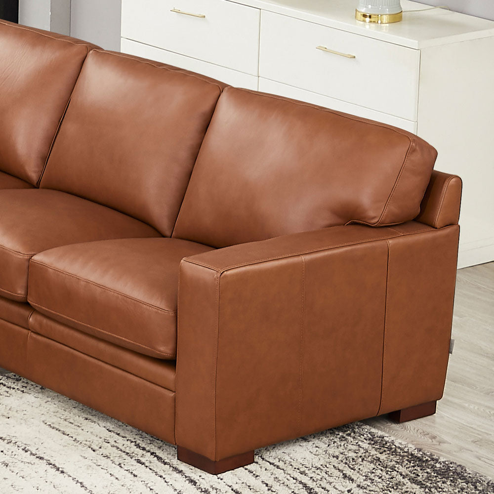 Dillon Leather Left Chaise Sectional Brown Genuine Leather Wood Primary Living Space Medium Firm Cushion Back Mid Century Modern U Shaped Eucalyptus Square Arms Down Filling Leather 6 Seat