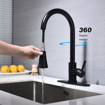 Kitchen Faucet With Pull Out Spraye Matte Black Stainless Steel