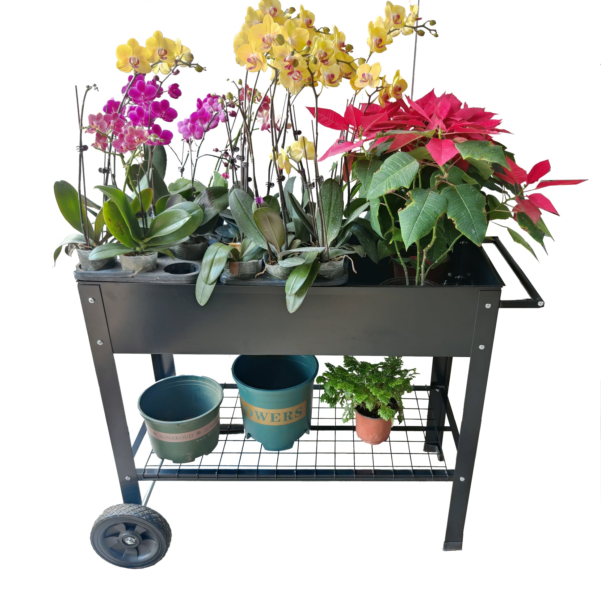 Mobile Metal Raised Garden Bed Cart With Legs, Elevated Tall Planter Box With Wheels For Outdoor Indoors House Patio Backyard Vegetables Tomato Diy Herb Grow Black Black Metal