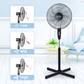 2 Pack Oscillating 16 3 Adjustable Speed Pedestal Stand Fan For Indoor, Bedroom, Living Room, Home Office & College Dorm Use, 16 Inch, Blackoffice & College Dorm Use, 16 Inch, Black Black Metal