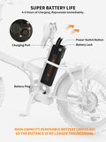 Aostirmotor Folding Electric Bike Ebike Bicycle 500W Motor 20