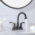 2 Handle Lavatory Faucet Bathroom Sink Faucet Black Brass