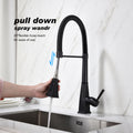 Kitchen Faucet With Pull Down Sprayer Matte Black Stainless Steel