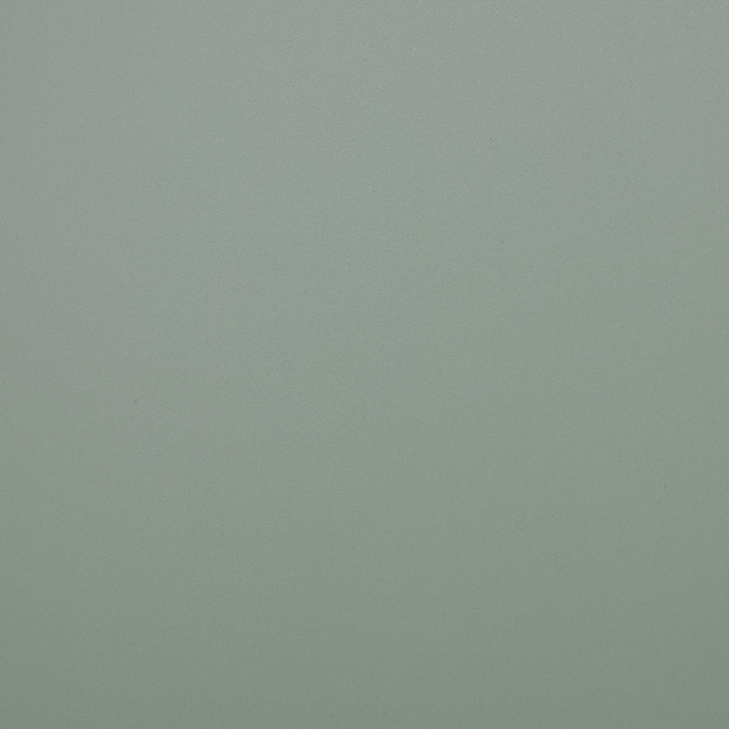 Curry 2 Door Accent Chest Mint Wood