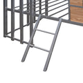 Metal Twin Size Loft Bed With Roof, Window, Guardrail, Ladder Silver Silver Metal