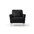 Modern Black Velvet Accent Chair Upholstered Living Room Arm Chairs Comfy Single Sofa Chair Black Foam Velvet
