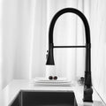 Kitchen Faucet With Pull Down Sprayer - Matte