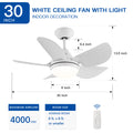 30 In Intergrated Led Ceiling Fan Lighting With White Abs Blade White Abs