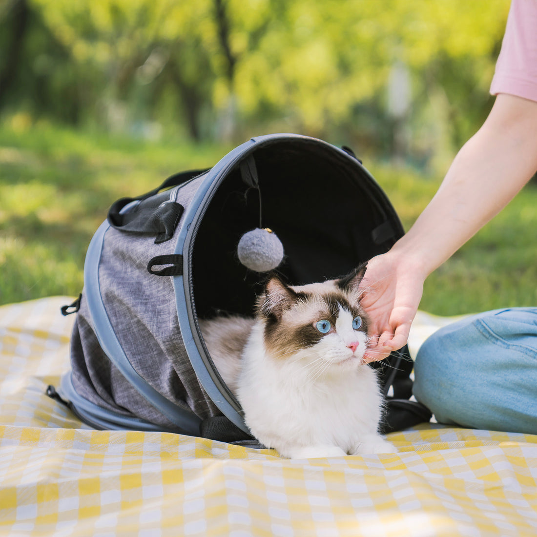 3 in 1 Cat Bed, Foldable Tunnel Pet Travel