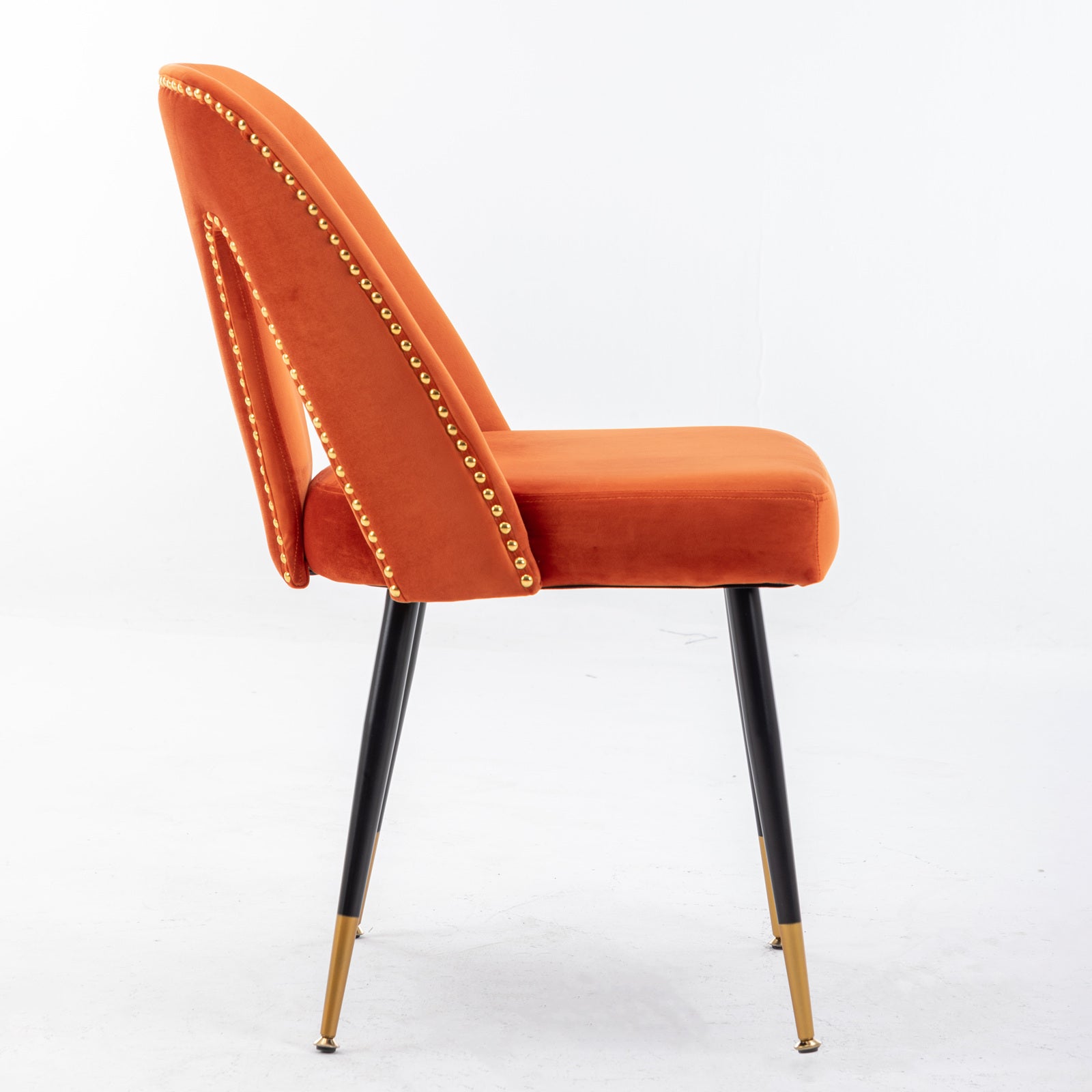 Akoya Collection Modern Contemporary Velvet Upholstered Dining Chair With Nailheads And Gold Tipped Black Metal Legs, Orange Set Of 2 Orange Foam Velvet