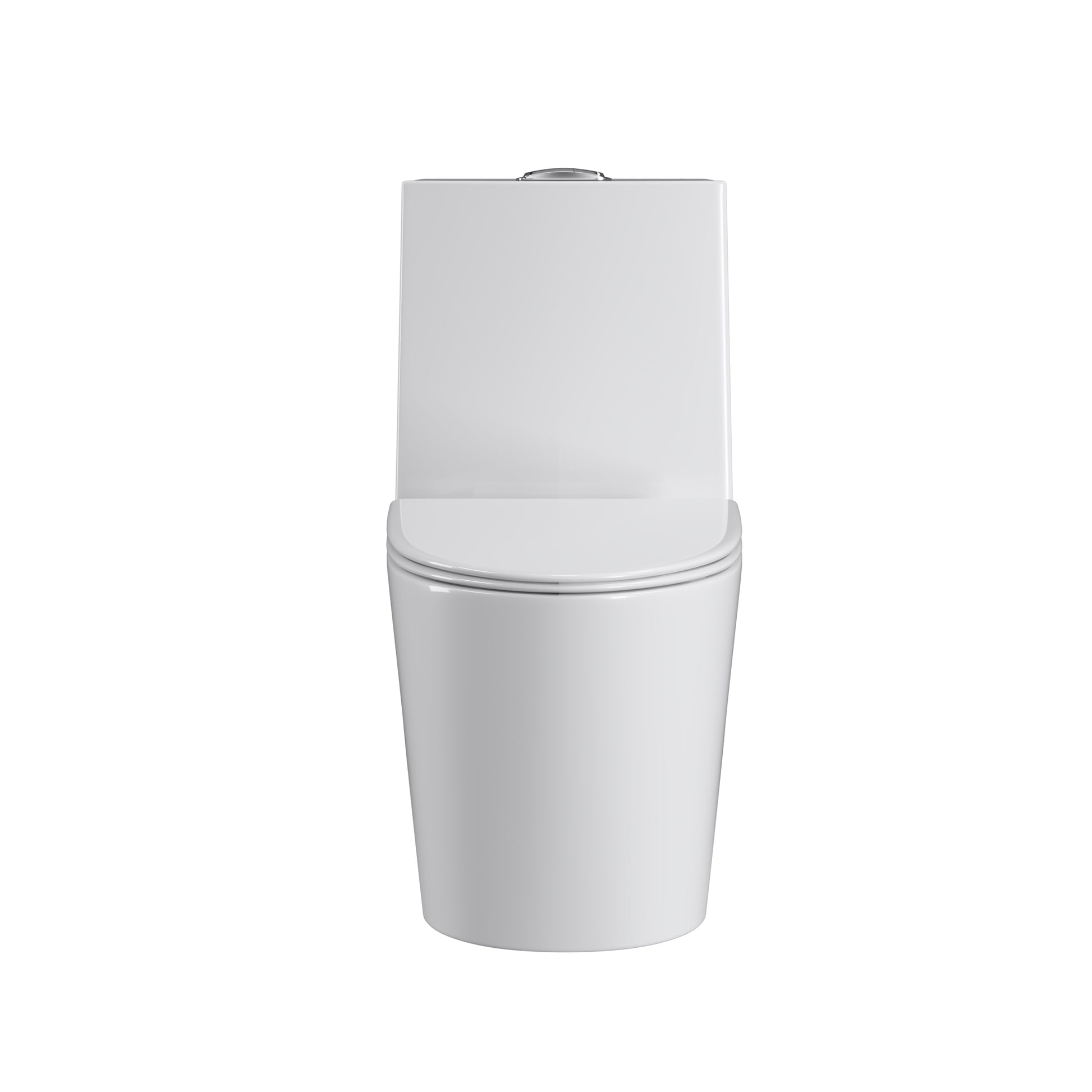 Dual Flush Elongated Standard One Piece Toilet