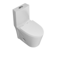 Dual Flush Elongated Standard One Piece Toilet
