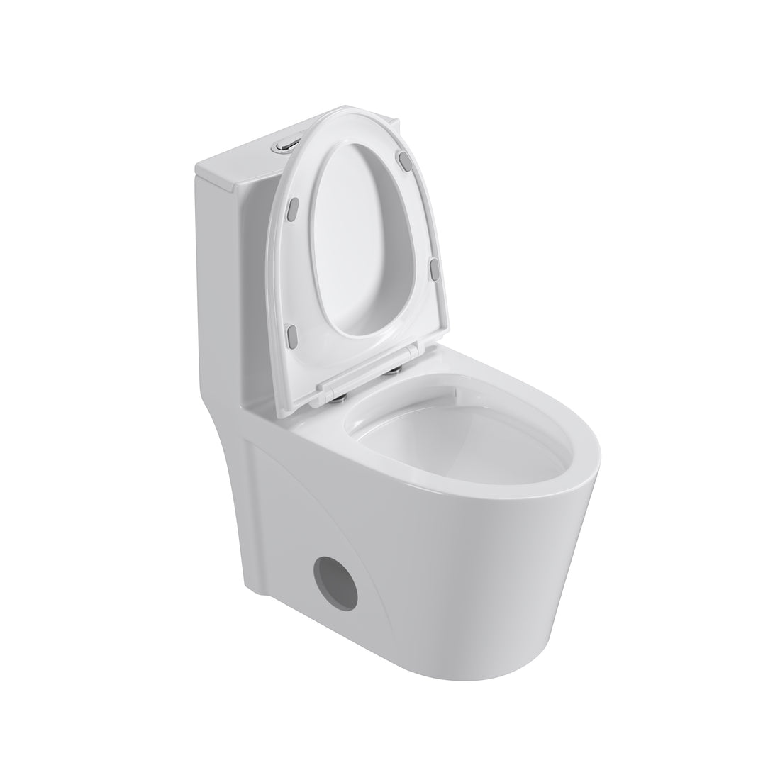 Dual Flush Elongated Standard One Piece Toilet