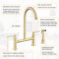 Double Handle Bridge Kitchen Faucet With Side Spray Brushed Gold Stainless Steel