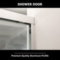 Shower Door 48
