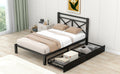 Metal Platform Bed With 2 Drawers, Twin Black Black Metal