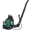 2 Stroke Backpack Leaf Blower,Gas 63.3Cc,3.6Hp 750Cfm Green Plastic