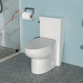 Ceramic One Piece Toilet,Single Flush with Soft white-ceramic