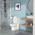 Ceramic One Piece Toilet,Single Flush with Soft white-ceramic