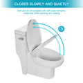 Ceramic One Piece Toilet,Single Flush with Soft white-ceramic