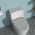 Ceramic One Piece Toilet,Single Flush with Soft white-ceramic