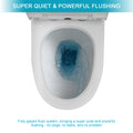 Ceramic One Piece Toilet,Dual Flush with Soft Clsoing white-ceramic