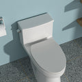 Ceramic One Piece Toilet,Single Flush with Soft white-ceramic