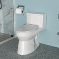 Ceramic One Piece Toilet,Single Flush with Soft white-ceramic