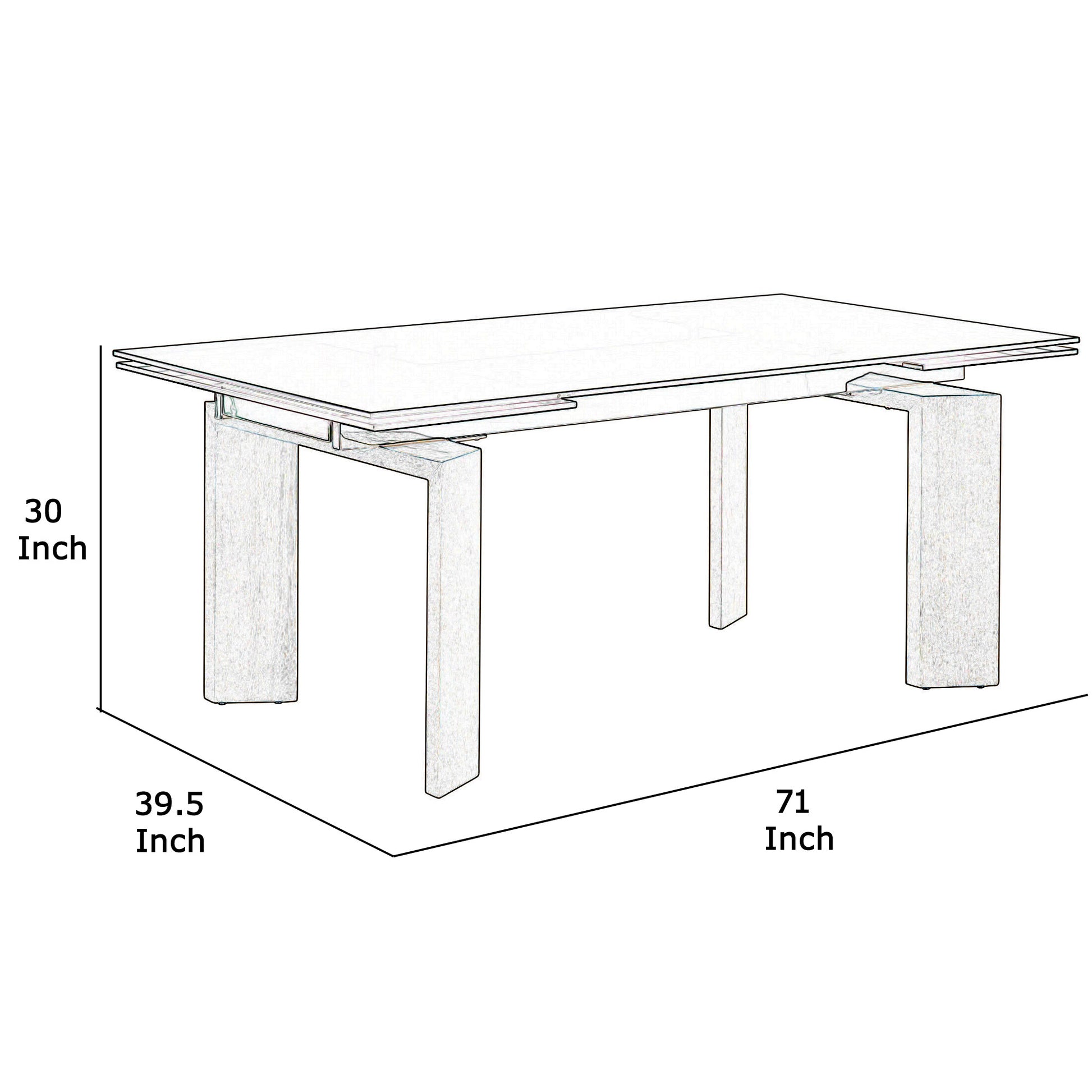 Tempered Glass Top Extendable Dining Table With Double Pedestal Base, Gray Gray Glass