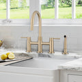 Double Handle Bridge Kitchen Faucet With Side Spray Brushed Gold Stainless Steel